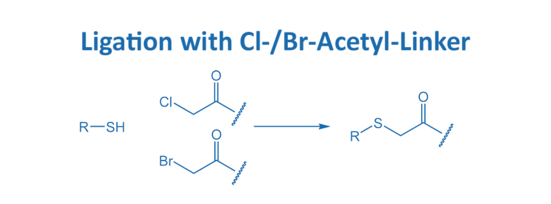 Ligation with Cl/Br-Acetyl-Linker