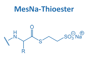 MesNa-Thioester