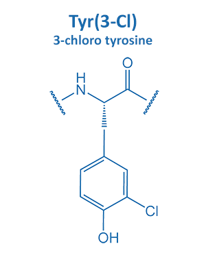 3-chloro tyrosine